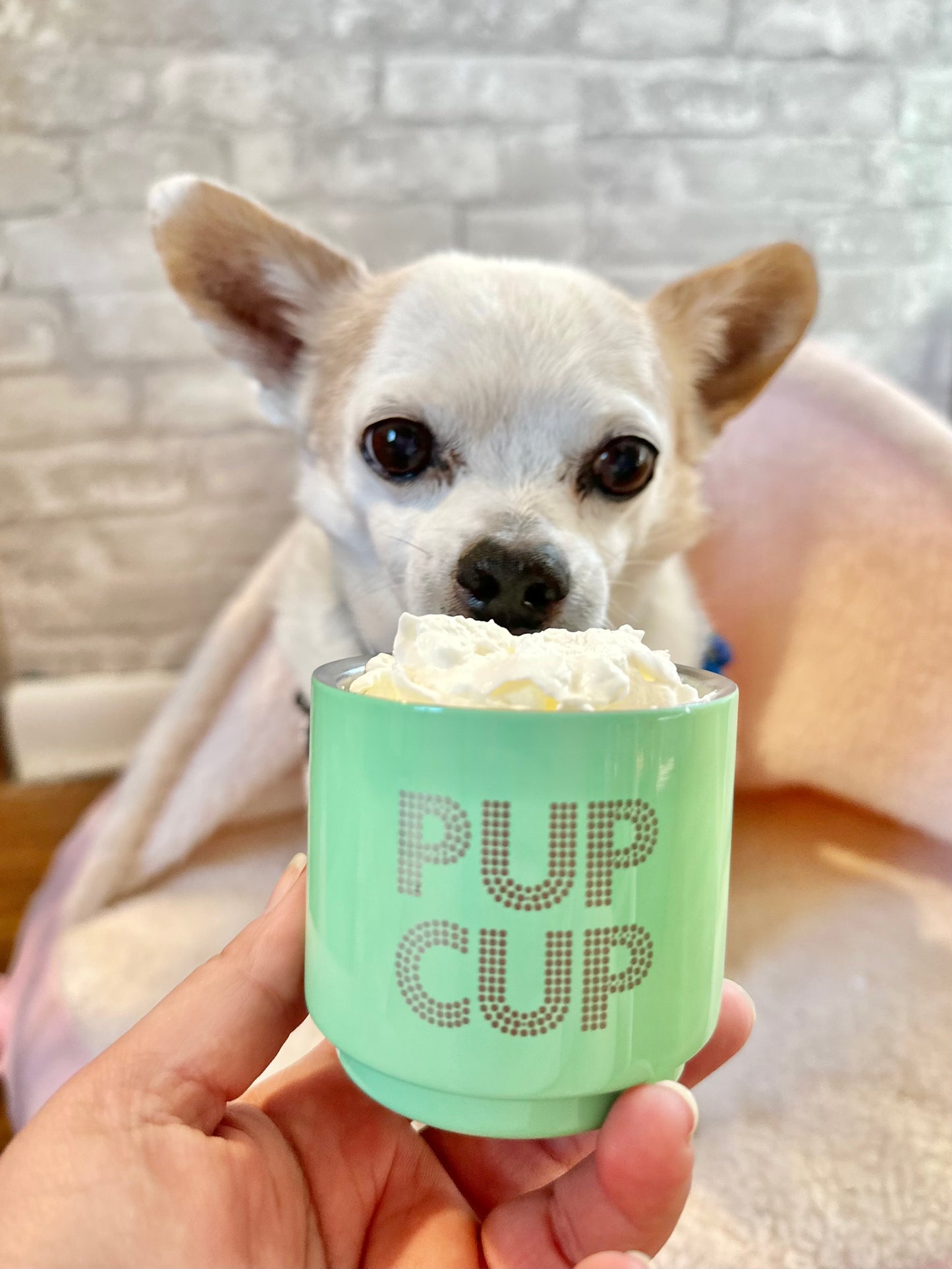 Pup Cups - Choose Your Design & Personalization