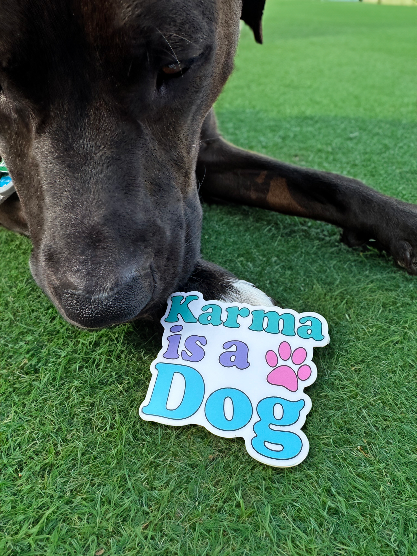 Karma Is a Dog Sticker