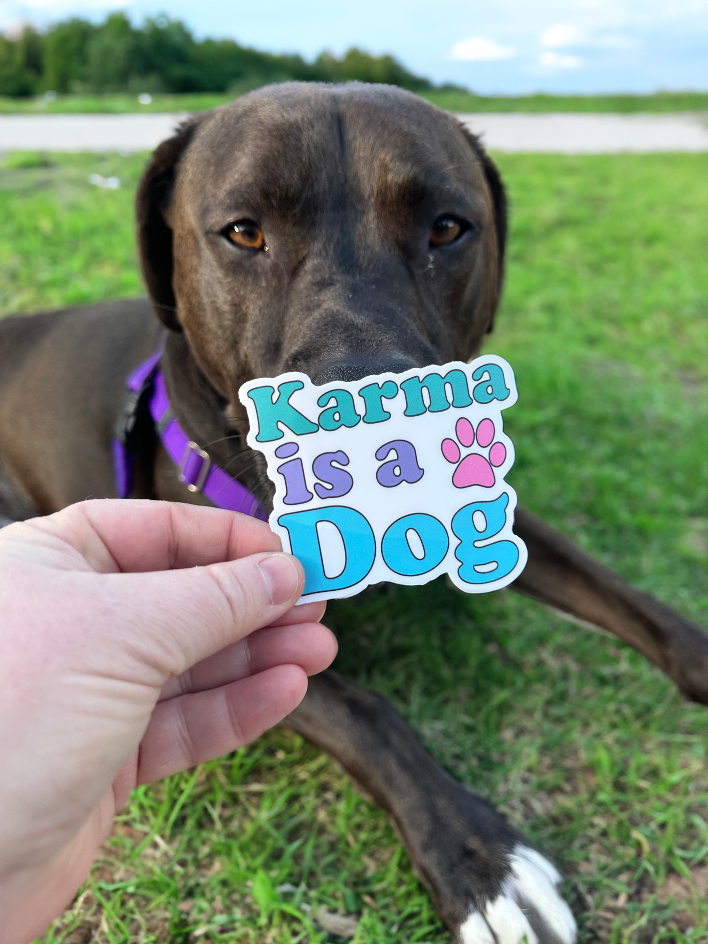 Karma Is a Dog Sticker