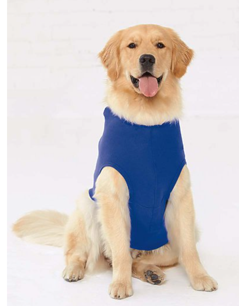 Doggie Skins Game Day Hoodie