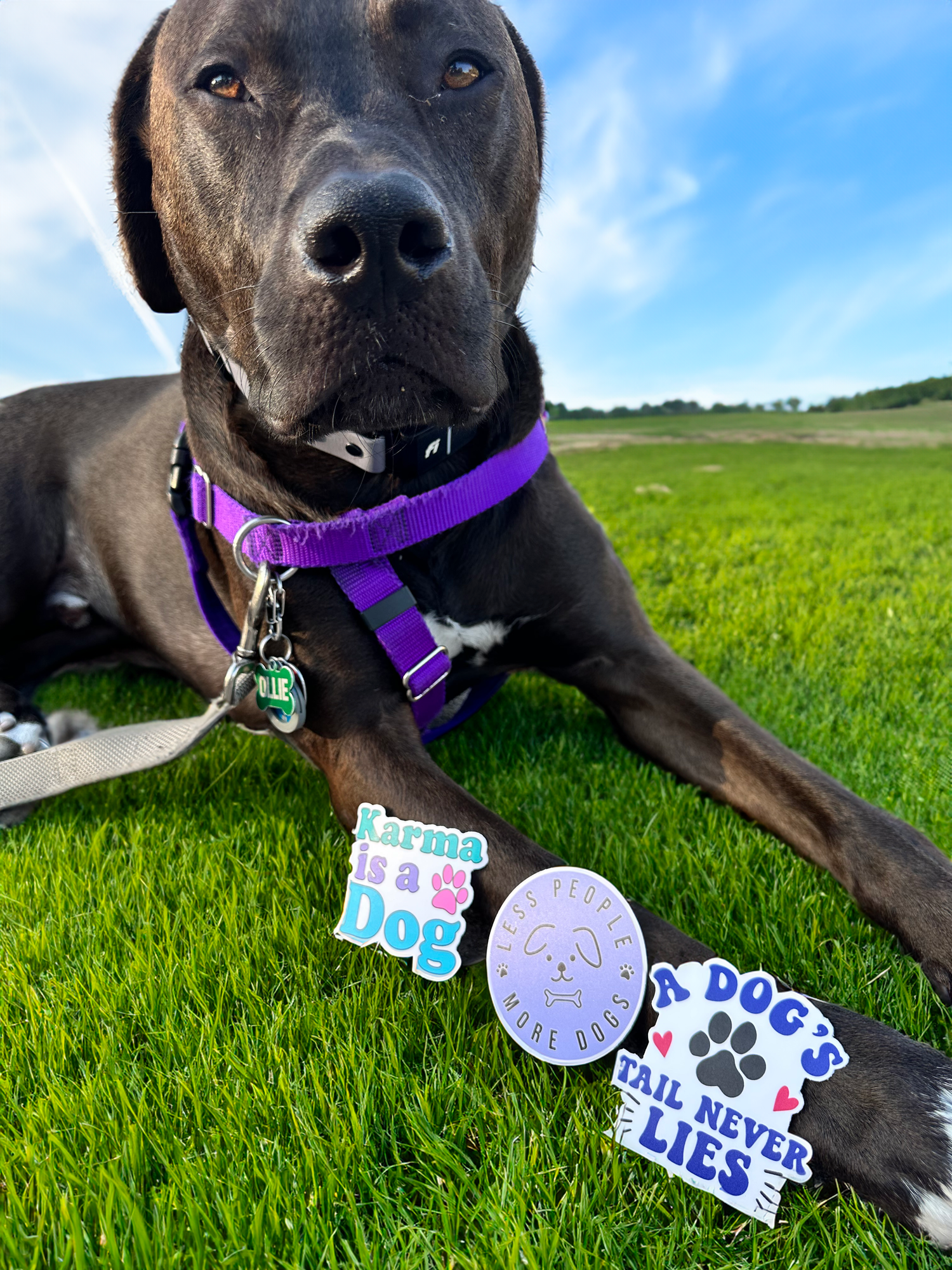 Stickers