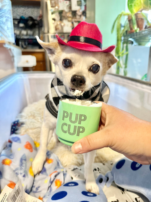 Pup Cup Addict