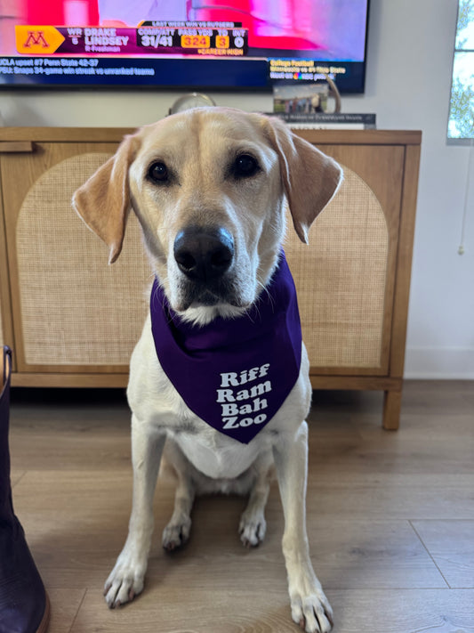 Hank in a Riff Ram bandana