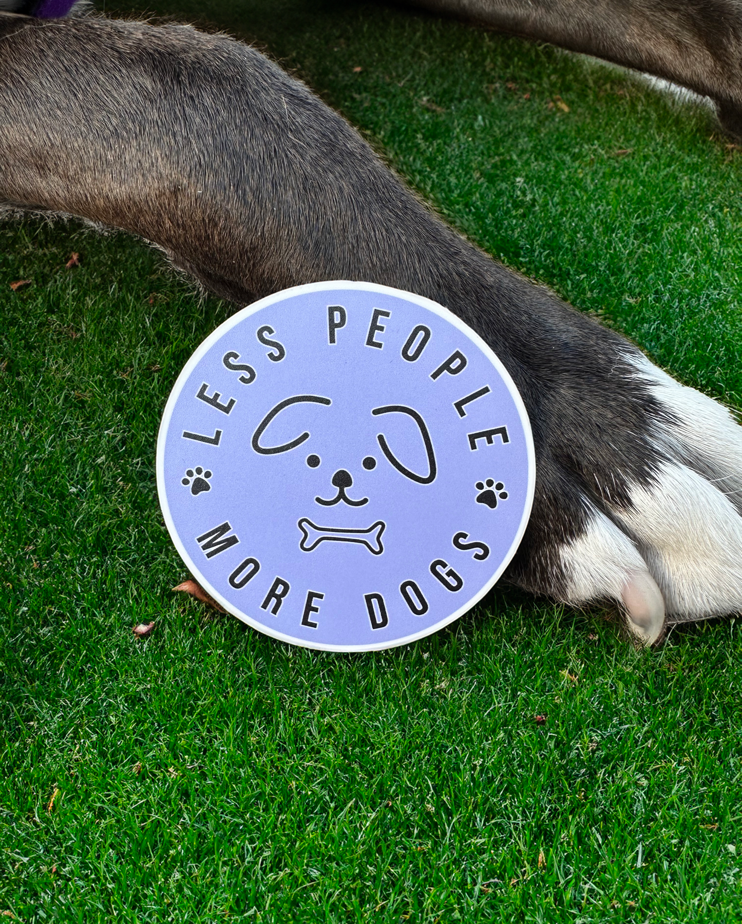 Less People More Dogs Sticker