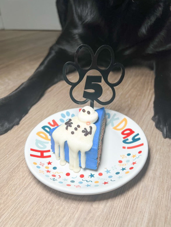 Birthday Cake with #5 paw cake topper