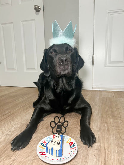 Vivi with #5 cake topper