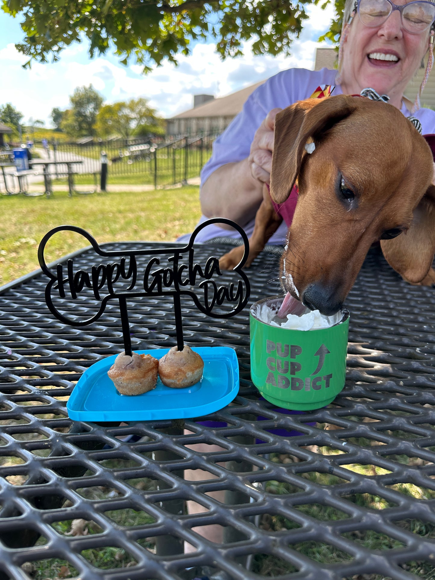 Happy Gotcha Day Cake Topper