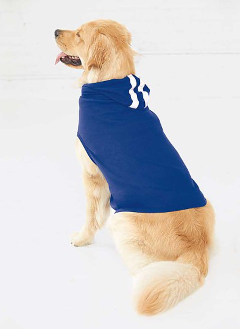 Doggie Skins Game Day Hoodie
